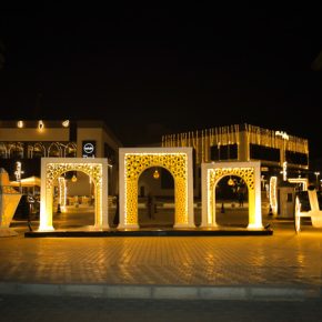 zia10