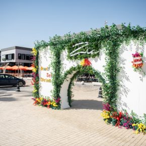 Zia-Spring-3