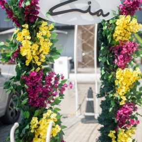 Zia-Spring-9